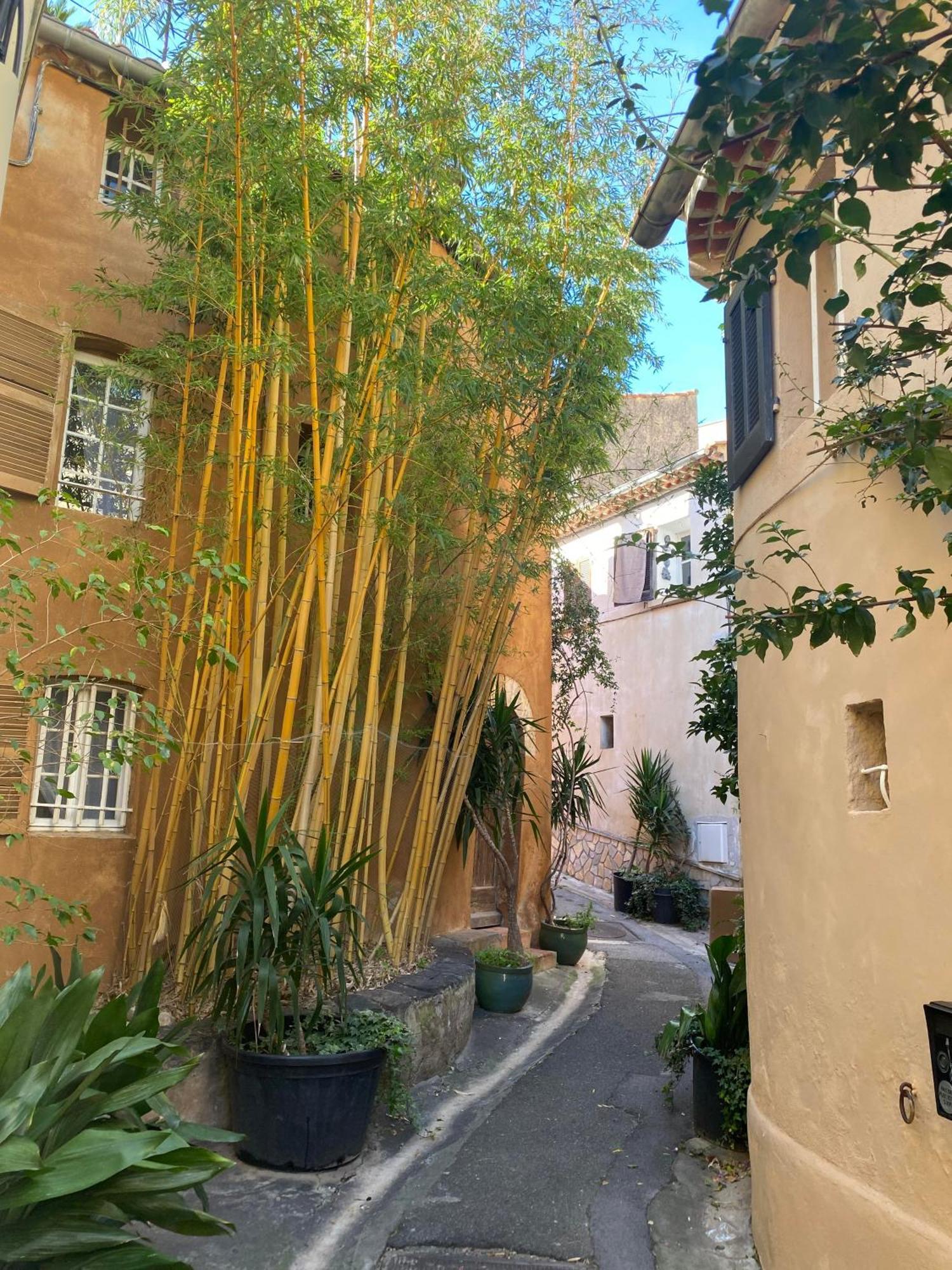 Spacieux Duplex, Vue Mer Et Belle Terrasse 히에레 외부 사진
